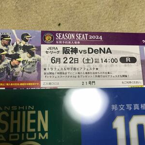 阪神甲子園球場6月22日(土)阪神対DeNA公式戦チケットライト外野指定席１枚　雨天保証