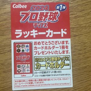 プロ野球チップス カルビー カードホルダー　2024 ラッキーカード