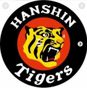 6/21( золотой ) Hanshin vsDeNA Koshien левый вне . указание сиденье 1 листов 