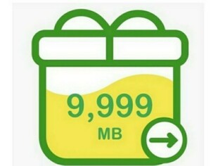 mineo マイネオ パケットギフト 約10GB（9999MB）