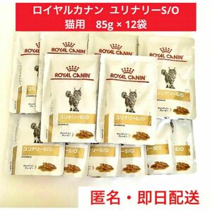 【即日発送】ロイヤルカナン ユリナリー S/O 猫用 パウチ 85g 12袋 ROYAL CANIN 療法食 猫 ウェットフード