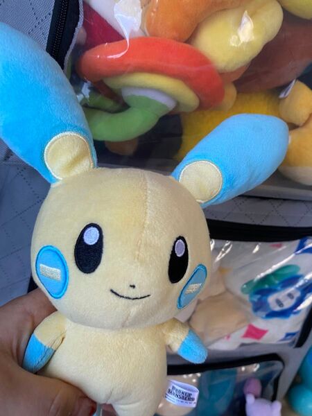ぬいぐるみ ポケットモンスター マイナン ポケモン