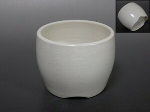 Fakk-D268 Imari Seto white porcelain fire go in 