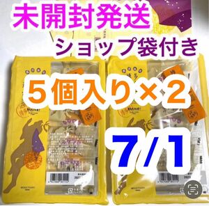 未開封発送 博多通りもん 通りもん ５個×２ 10個 ショップ袋付 とおりもん