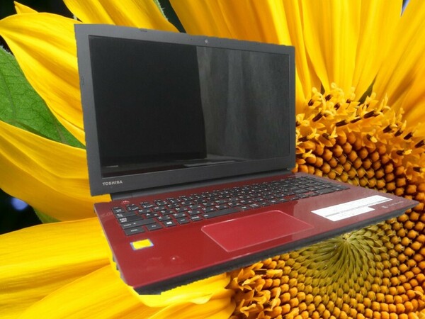 美品 中古 赤 ノートパソコン 15.6インチ windows11 office2021 i3 8GB 256GB SSD ワード エクセル パワーポイントWebカメラ T45