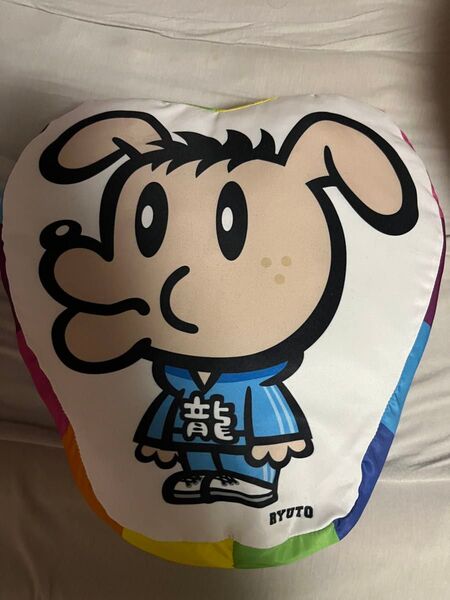 数原龍友 クッション