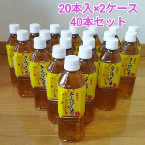 沖縄限定 さんぴん茶 500mlペットボトル 40本セット ジャスミン茶 まとめ売り