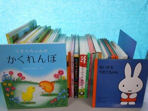 [ baby oriented picture book ]{ together 42 point set } bruna /... san series /... Chan. ...../.... Chan /.... Chan other 