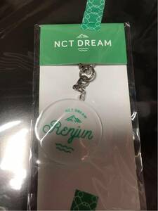 nctdream NCT DREAM sum 公式 キーホルダー ロンジュン NCT nct dream renjun ☆ マーク ヘチャン ジェノ ジェミン チョンロ チソン