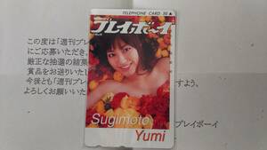 週刊プレイボーイ 抽プレ テレカ 杉本有美　非売品　