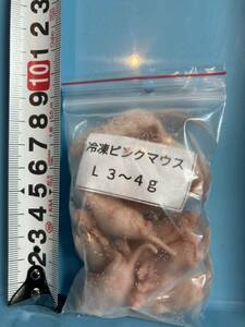 冷凍ピンクマウスL 3～4g(100匹)