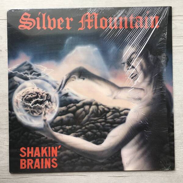 SILVER MOUNTAIN SHAKIN' BRAINS US盤