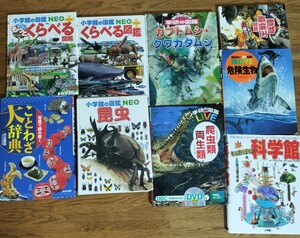 【図鑑×９冊・絵本21冊・地図パズル×2】まとめ売り　恐竜 小学館の図鑑NEO 絵本 学習 講談社 児童書 昆虫 危険生物 講談社の動く図鑑