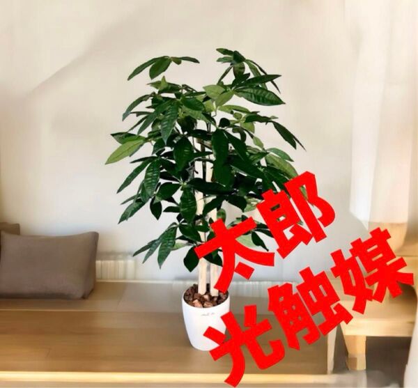 光触媒 人工観葉植物 ウォールグリーン フェイクグリーン パキラ11070@