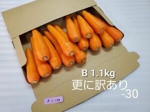 にんじん　1.1kg　更に訳あり　熊本県産