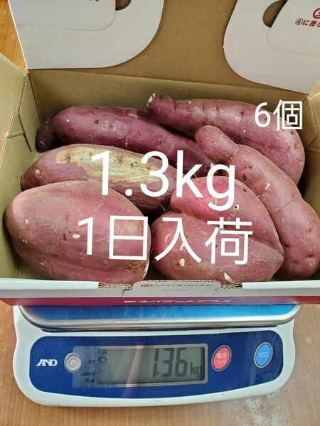 紅はるか　1.3kg　わけあり　熊本県産