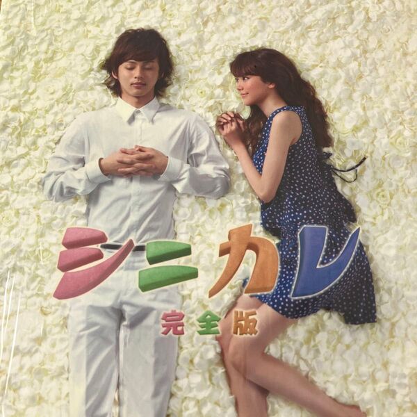 シニカレ完全版 DVD-BOX 藤ヶ谷太輔 Kis-My-Ft2 桐谷美玲 桐山照史 WEST. (ジャニーズwest)特典付
