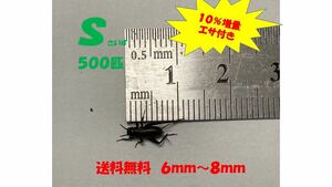 { all country delivery }{ free shipping }{10% increase amount } { feed attaching } S5~8mm 500 pcs black koorogi