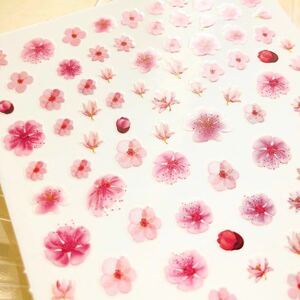 NEW that way ...[ new goods T304] nails sticker Sakura flower pink spring 