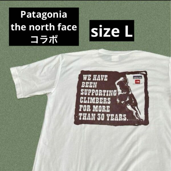 the north face 古着　Tシャツ　sizeL