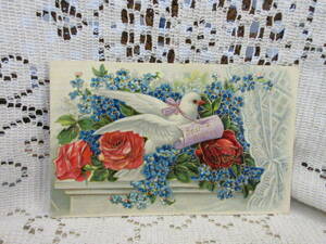 USA made antique postcard picture postcard en Boss white dove rose myosotis race. curtain message not yet posting 
