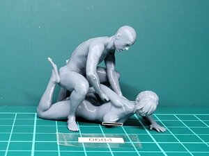 *(0684) super precise adult figure [ FORCED ENTRY (ANAL) ](FULL_NUDE)|≒S:1/20|8K light structure shape 3D print goods * under Dell color. practice to 