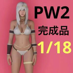 完成品　1/18 pw2 フィギュア　ミニカーに　ドールハウスに　1/64より大　ミニチュアイメージ　リアルフィギュア