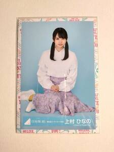 【上村ひなの】【検品済】春私服コーディネート衣装　すわり【まとめ発送可】日向坂46 生写真 グッズ