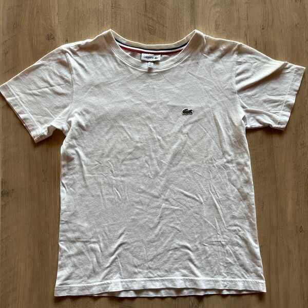半袖Tシャツ LACOSTE ラコステ 140cm
