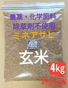 農薬不使用 無化学肥料 ミネアサヒ 玄米　4㎏　自然栽培