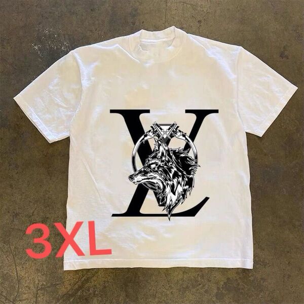 Tシャツ 半袖 白 綿 3XL