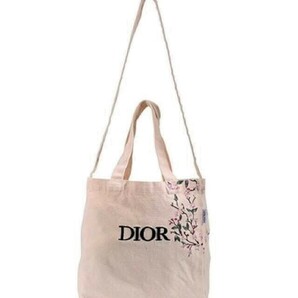 新品 クリスチャン・ディオール ノベルティ バッグ DIOR 刺繍 トート／ショルダーバッグ 2way 小さめ バッグ Christian Dior