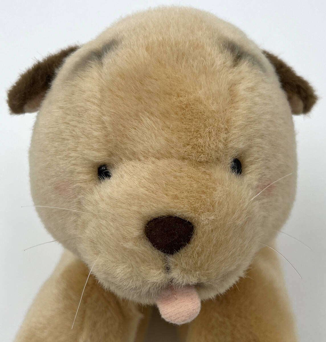 Yahoo!オークション -「ころわん」の落札相場・落札価格 Yahoo!オークション -「ころわん」の落札相場・落札価格