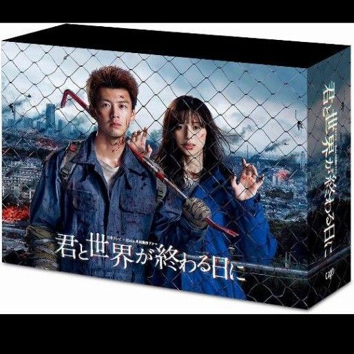 最終値下げ DVDBOX 君と世界が終わる日に