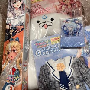 ホロライブくじ ホロライフ!りぴーと! 一番くじ ネックピロー/エコバッグ/アクリルブロック/タペストリー 4点セット