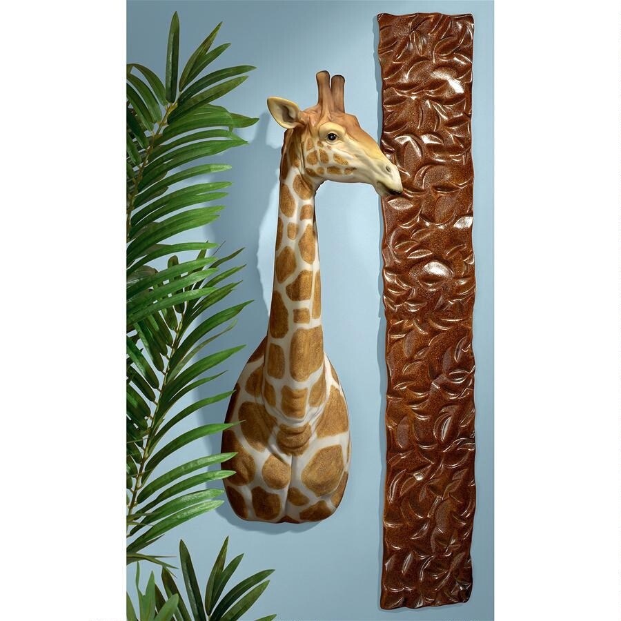 2025年最新】Yahoo!オークション -剥製 動物の中古品・新品・未 2025年最新】Yahoo!オークション -剥製 動物の中古品・新品・未