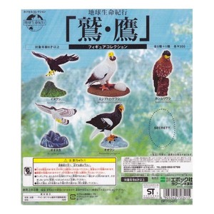 地球生命紀行 鷲・鷹 フィギュアコレクション シークレット入り全6種フルコンプセット エポック社 ガチャポン フィギュア 鳥