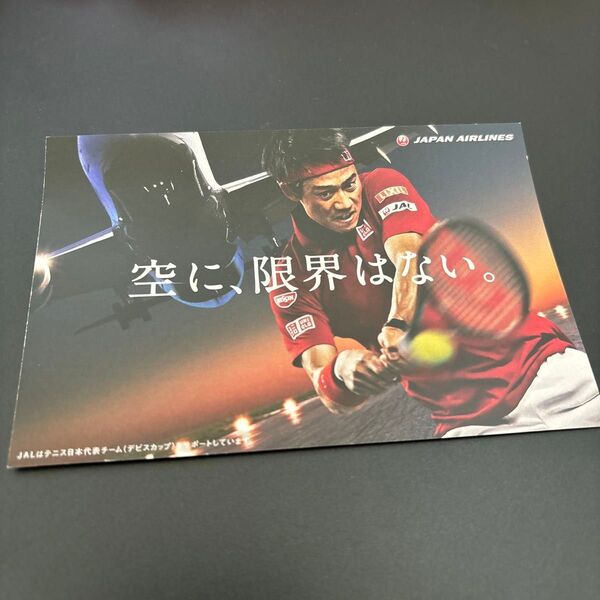 JAL ポストカード 錦織圭