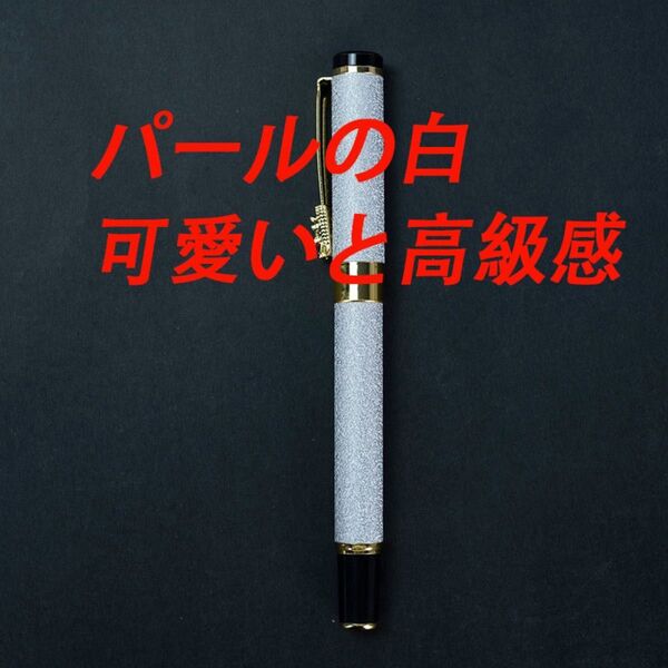 1000円値下げ!万年筆 F細字カートリッジコンバーター付き 文房具