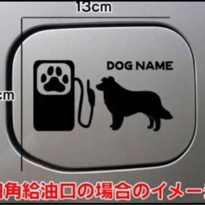 【送料無料】ボーダーコリー ステッカー リアガラス 給油口 シルエット 犬 車