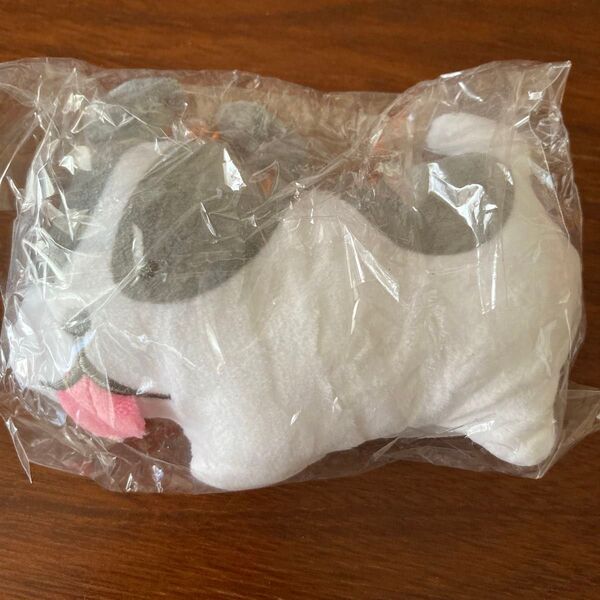 新品 つぶらな瞳の犬と猫 ふれんちぶるどっぐ ガシャポン ガチャガチャ
