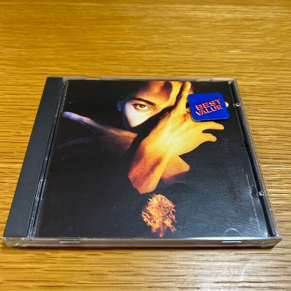 テレンストレントダービー TERENCE TRENT DARBY NEITHER FISH NOR FLESH