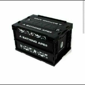 A BATHING APE CONTAINER