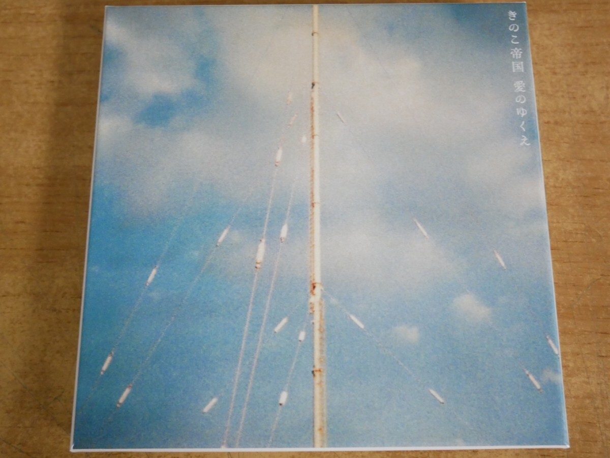 【初回限定盤 CD+LIVE DVD】愛のゆくえ/きのこ帝国【佐藤 千亜妃】 初回限定盤】【DVD付】 きのこ帝国 / 愛のゆくえ 佐藤 千亜妃|CD