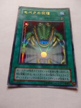 遊戯王カード ◆ セベクの祝福 ◆ 魔 ◆ 金文字 　◆　中古_画像1