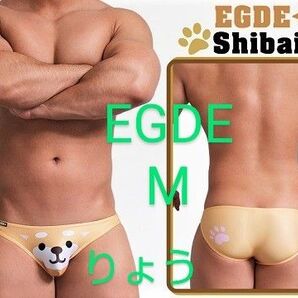 EGDE←SHIBAINU フロントハーフシーム スーパーローライズビキニ M 未使用ケース付き/TOOT GMW PPG GX3