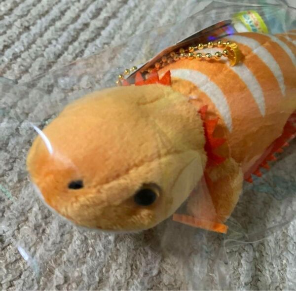 レオパのきいちゃん Lマスコット ふとあご