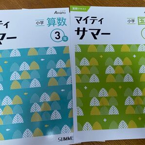 小学三年生 国語 算数 2冊セット ワーク