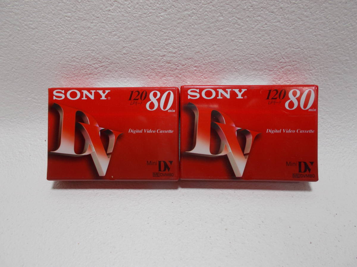 2025年最新】Yahoo!オークション -mini dv 80の中古品・新品・未