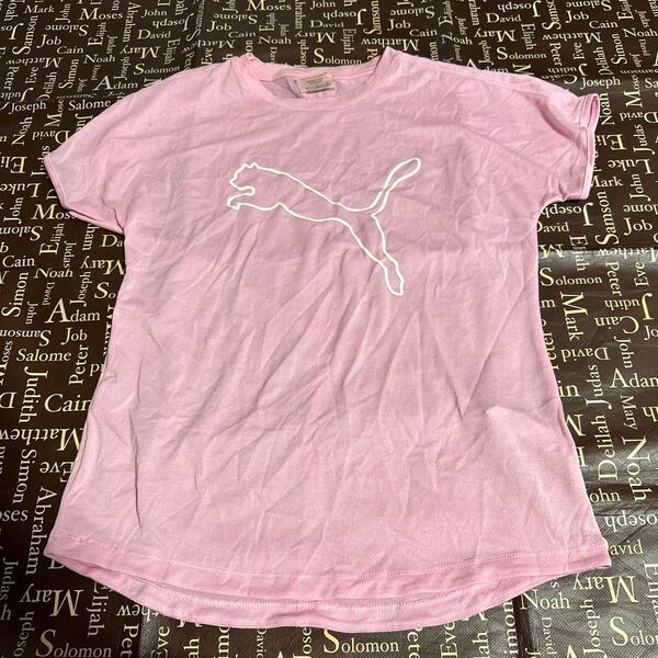 PUMA プーマ ピンク ランニング サイクリング トレーニング Tシャツ 速乾 ドライ S